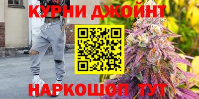 прущие грибы Новокубанск