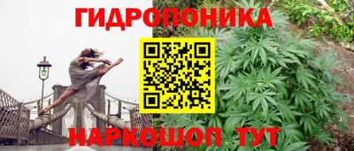 прущие грибы Новокубанск