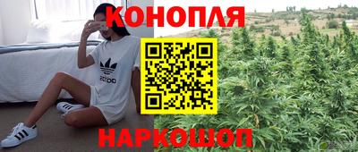 ECSTASY Новозыбков