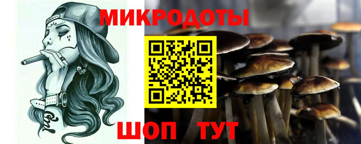 Псилоцибиновые грибы прущие грибы  Вход с VPN  купить закладку  Ржев 